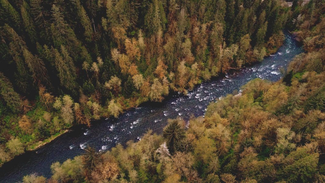 Forest River Aerial