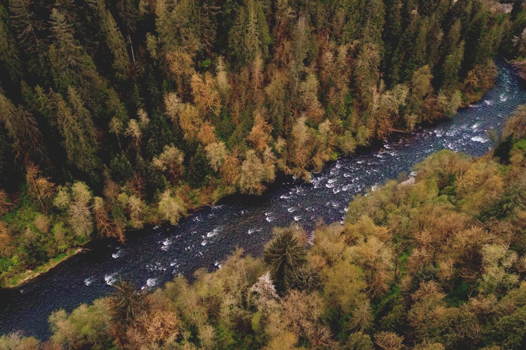 Forest River Aerial