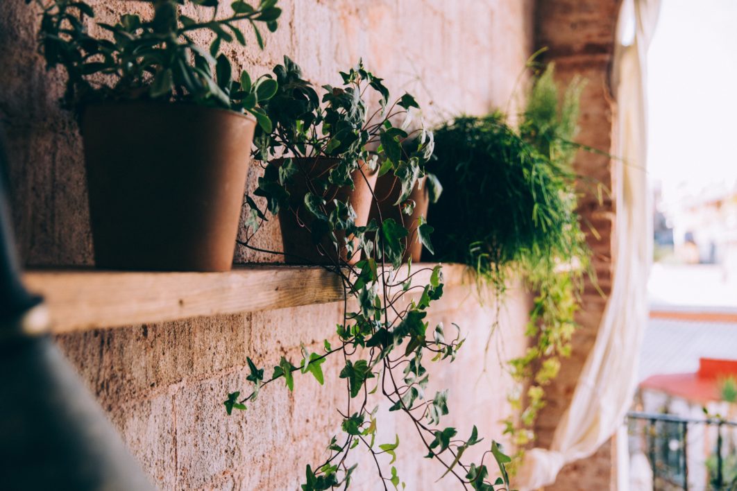 Potted Plants Shelf