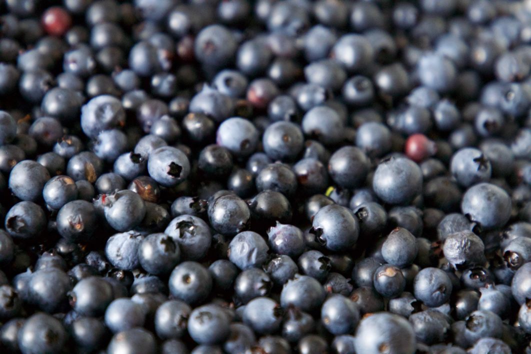 Blueberries Background