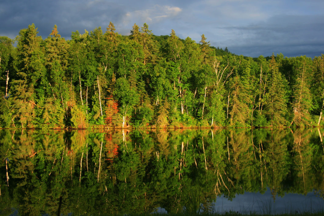 Autumn Lake Landscape