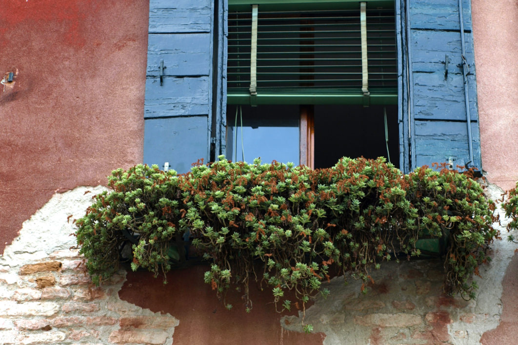 Exterior Window