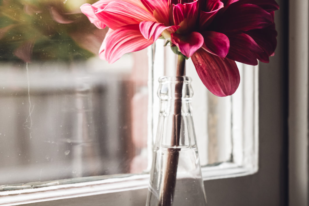 Flower Vase Window
