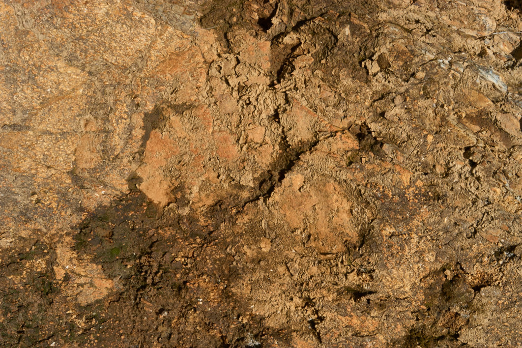 Dirt Rock Texture