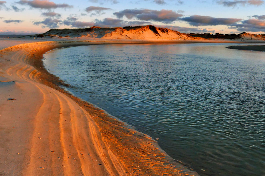 Beach Coast