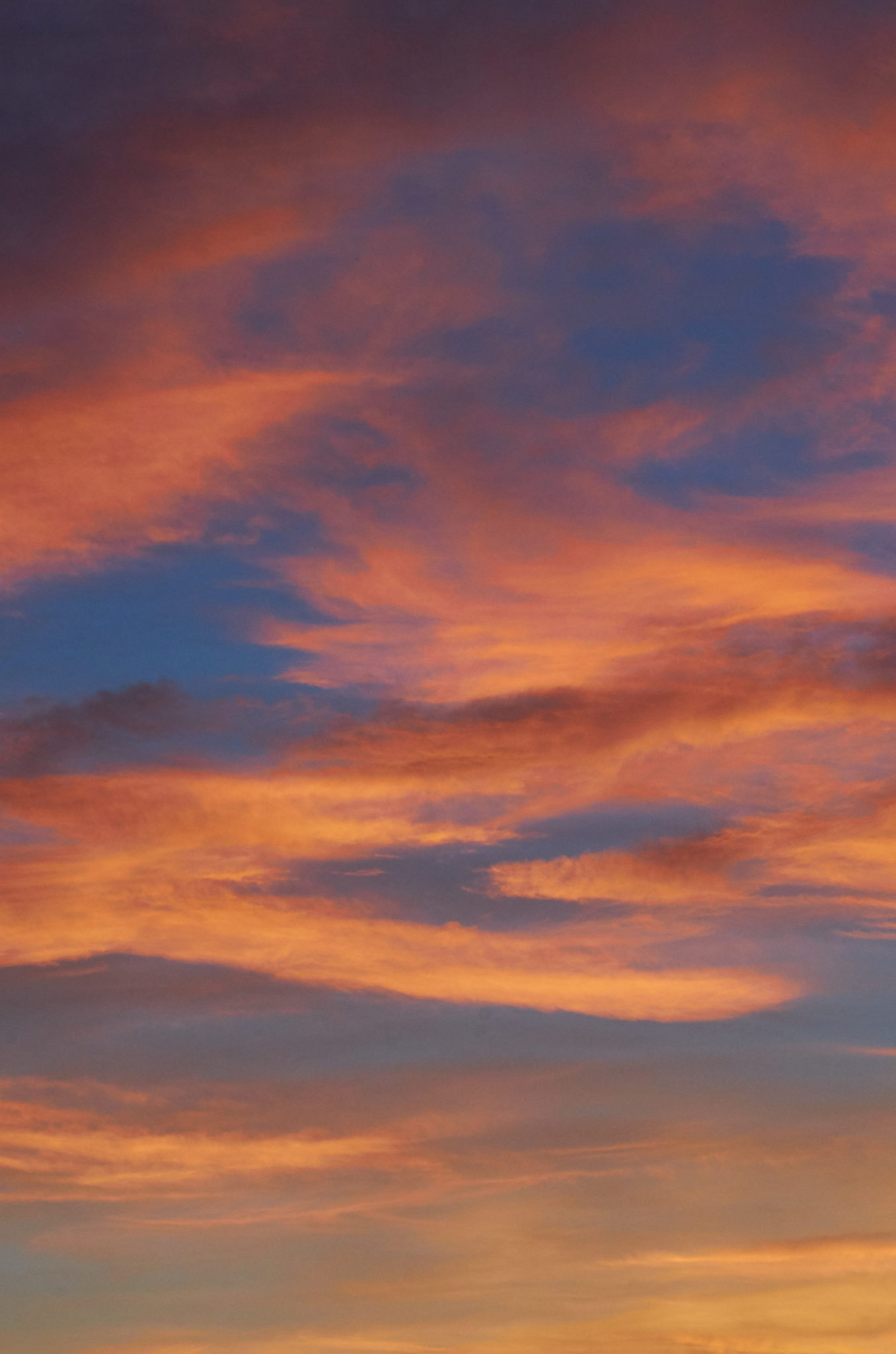 Pink Sunset Sky Royalty Free Photo