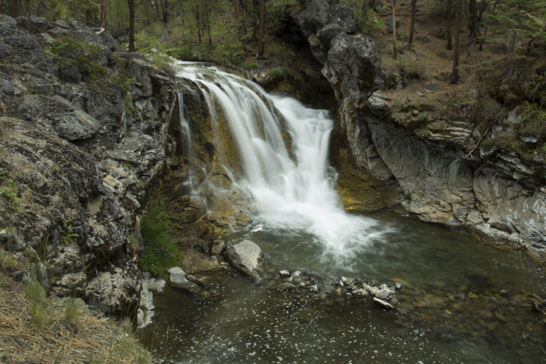 Waterfall Forest Stream