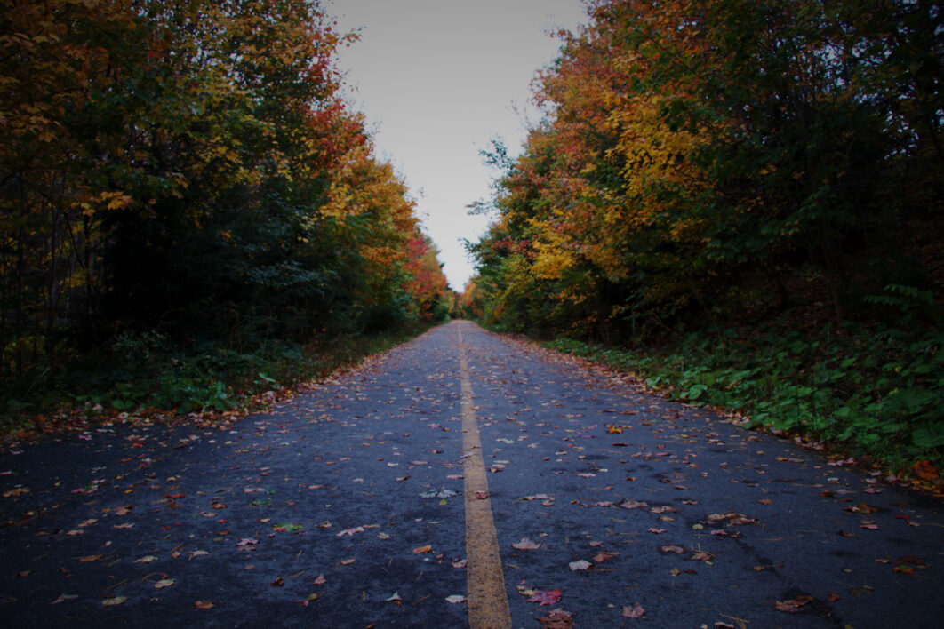 Road Autumn