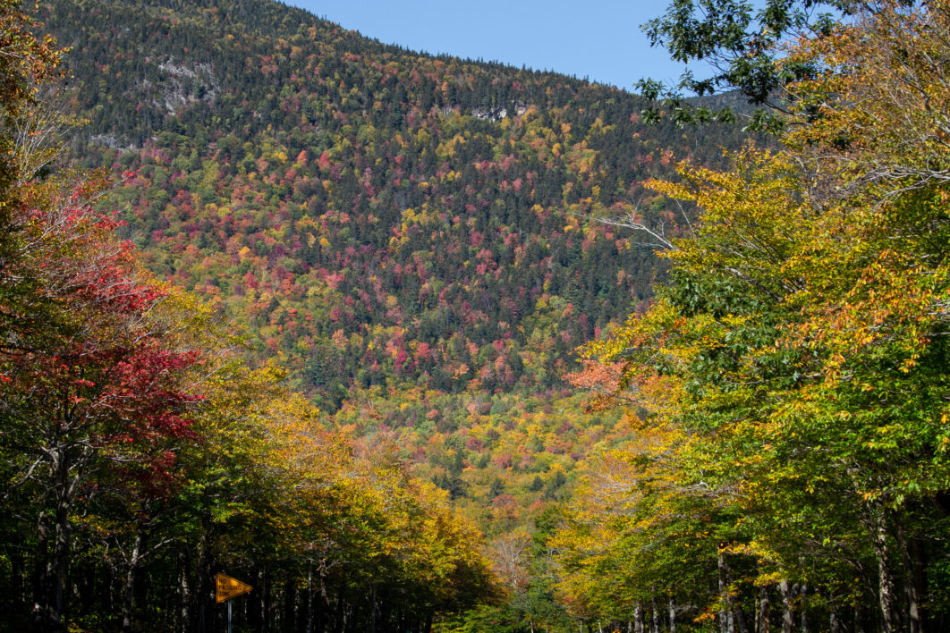 Autumn Foliage Road