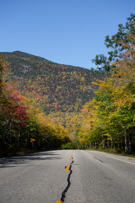 Autumn Foliage Road