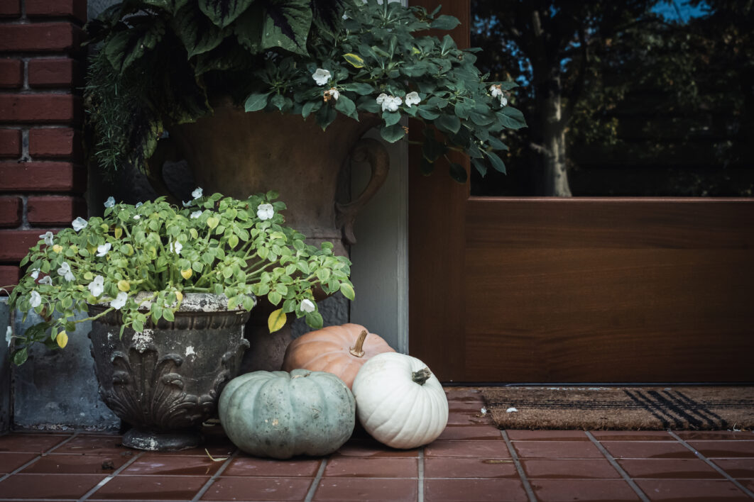 Exterior Pumpkins Flowers