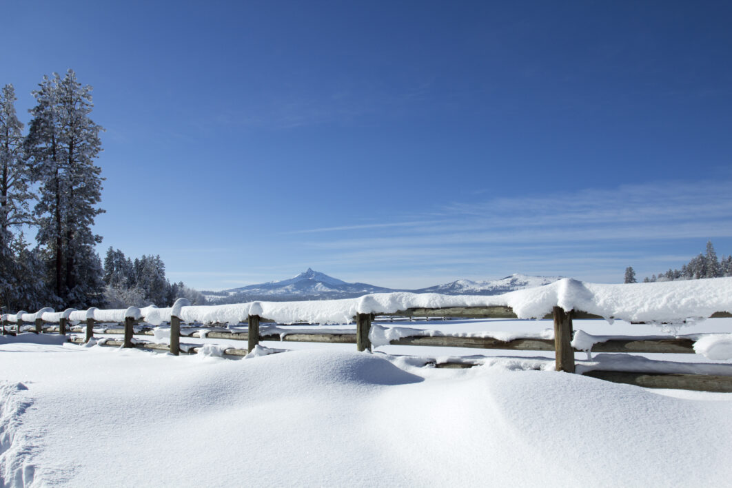 Snow Winter Landscape