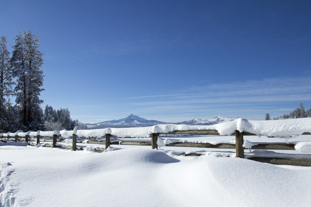 Snow Winter Landscape Royalty Free Photo