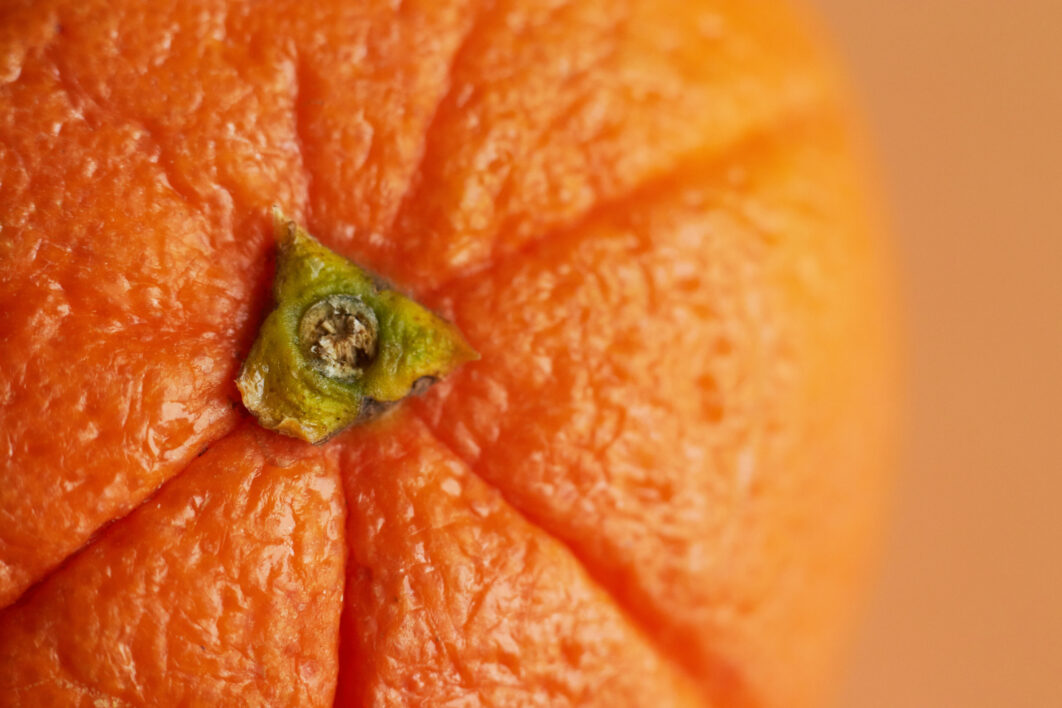 Orange Fruit Macro