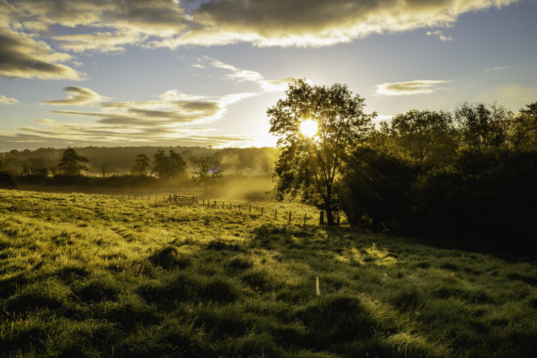 Country Field Landscape