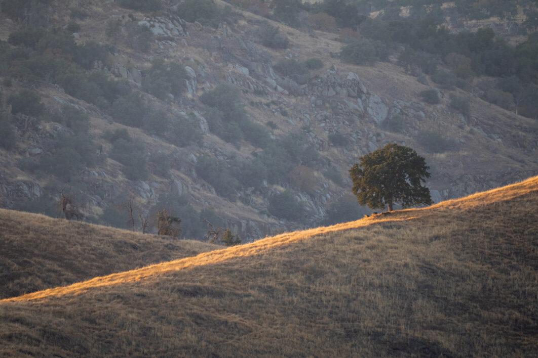 Hills Landscape