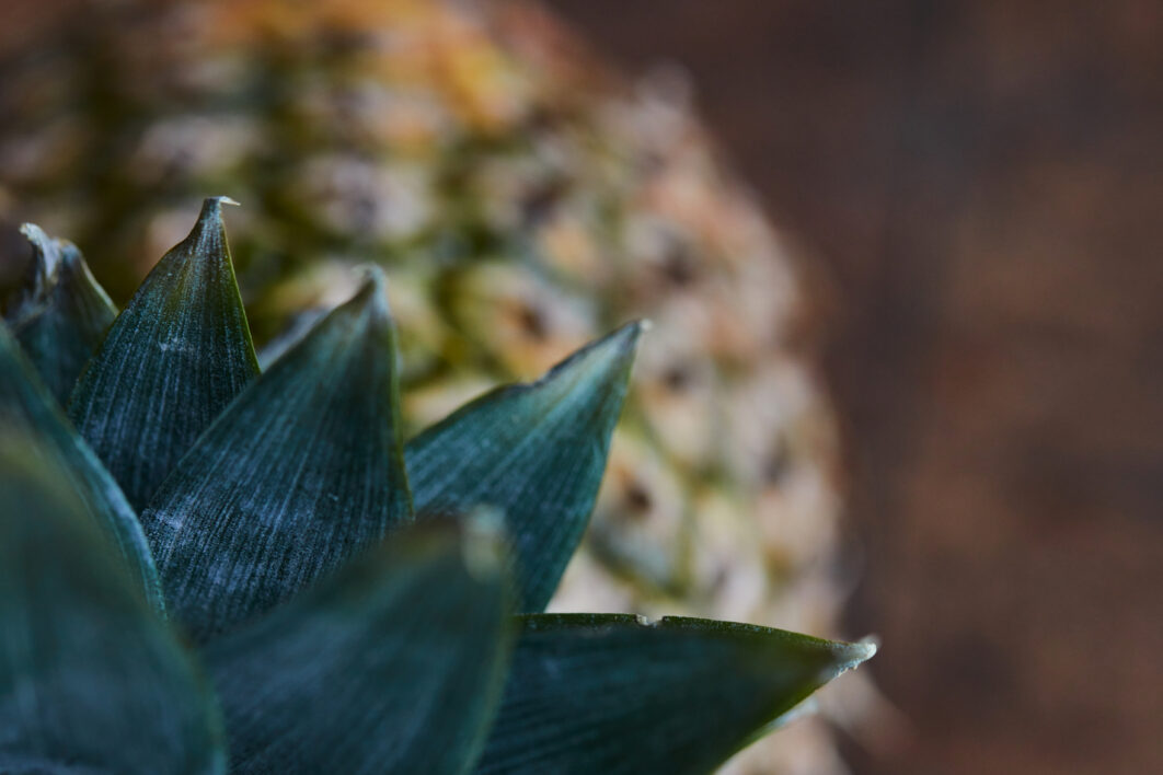 Pineapple Fruit Close