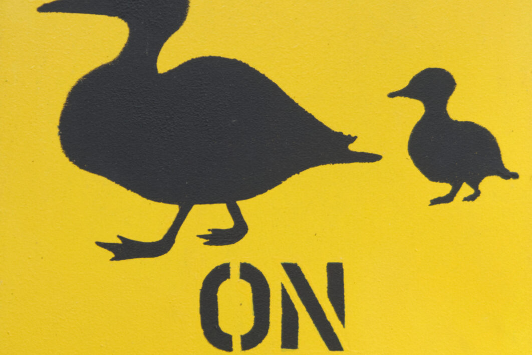 negative-space-sign-yellow-ducks-1062x70