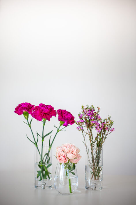 Flower Vase Isolated