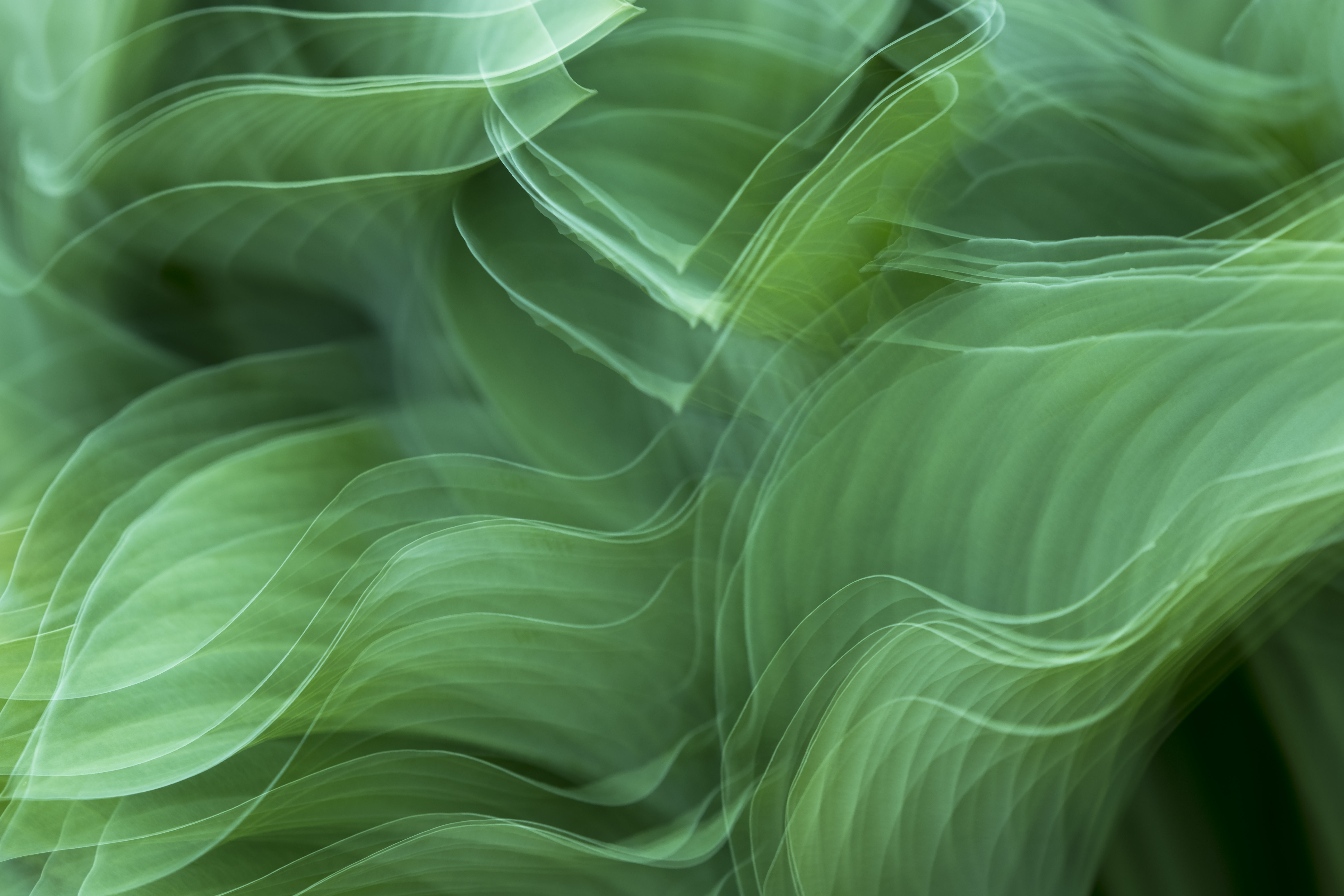 Abstract Green Background Royalty Free Photo