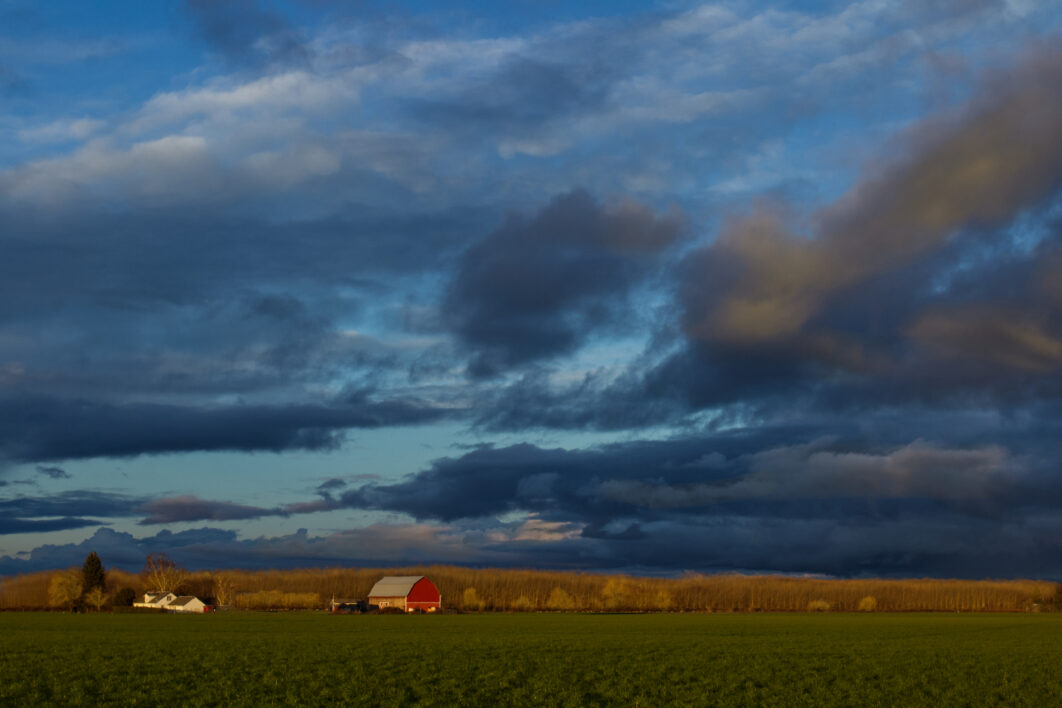 Barn Farm Landscape