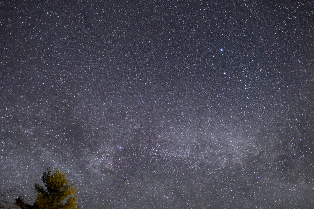 Tree Night Starry