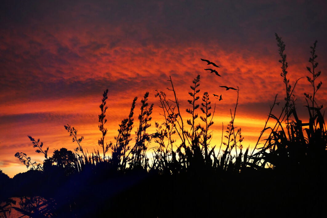 Evening Sky Dusk