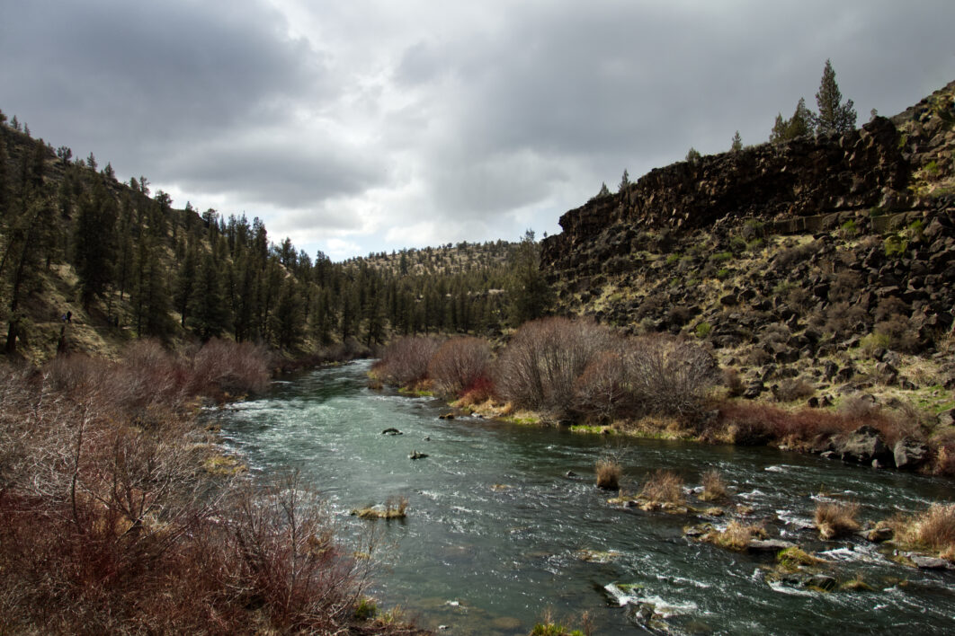 Mountain Stream