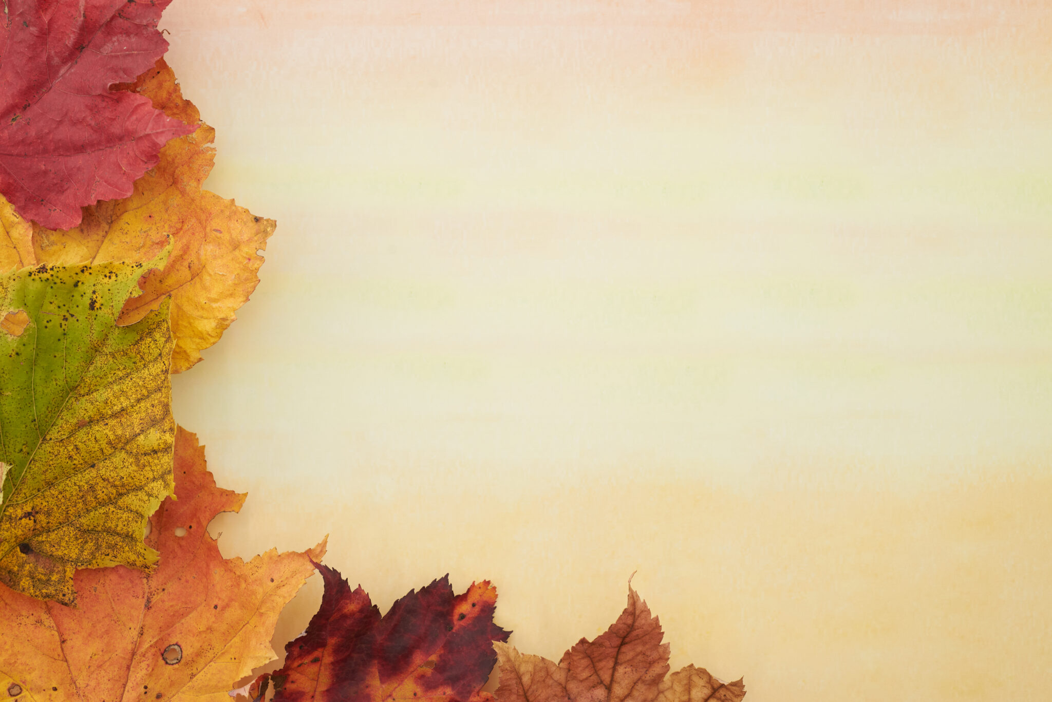 Fall Harvest Background Royalty Free Photo