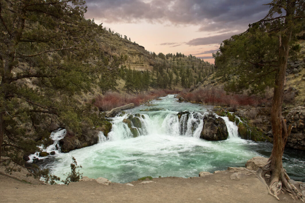 Waterfall Forest Stream