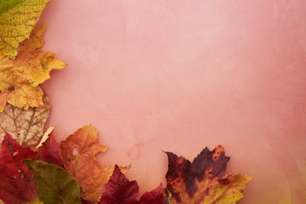 Thanksgiving Background Leaves