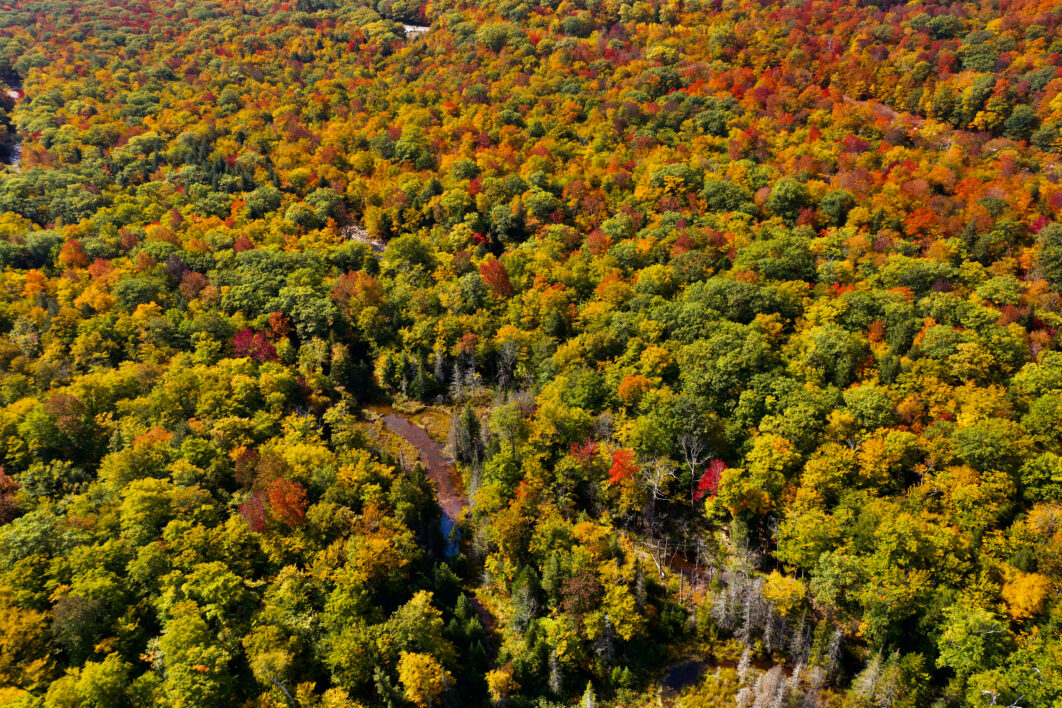 Fall Aerial Autumn