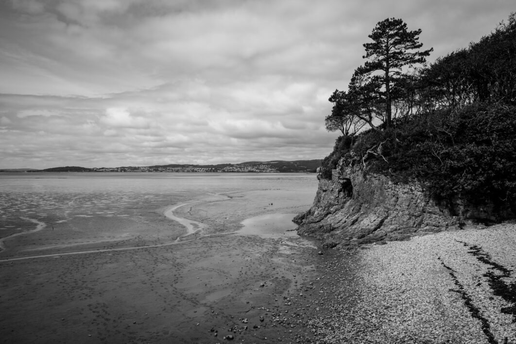 Coastal Cliff Landscape