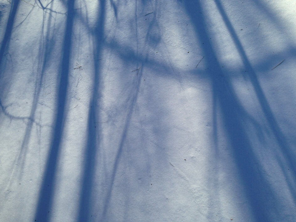 Winter Show Shadows