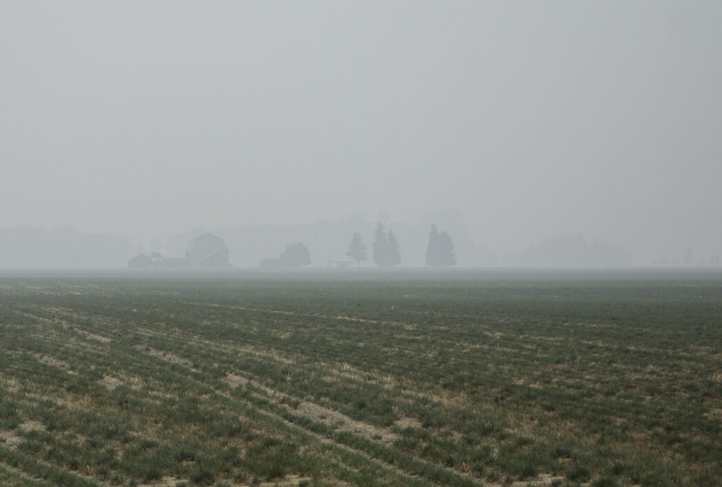 Smoke Field Landscape