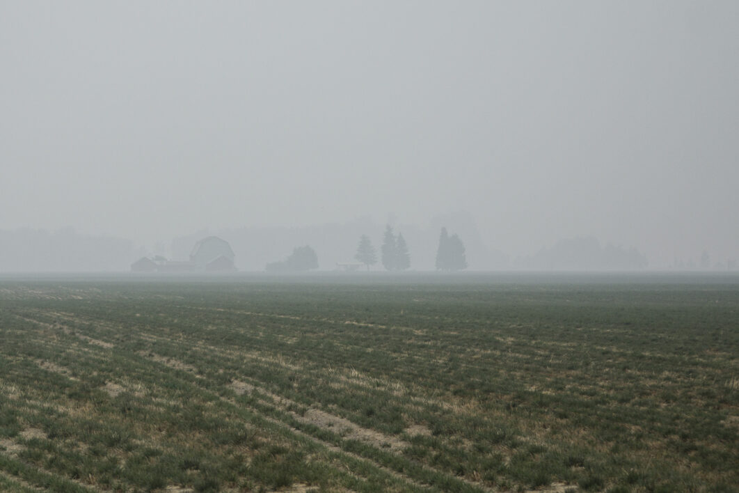 Smoke Field Landscape