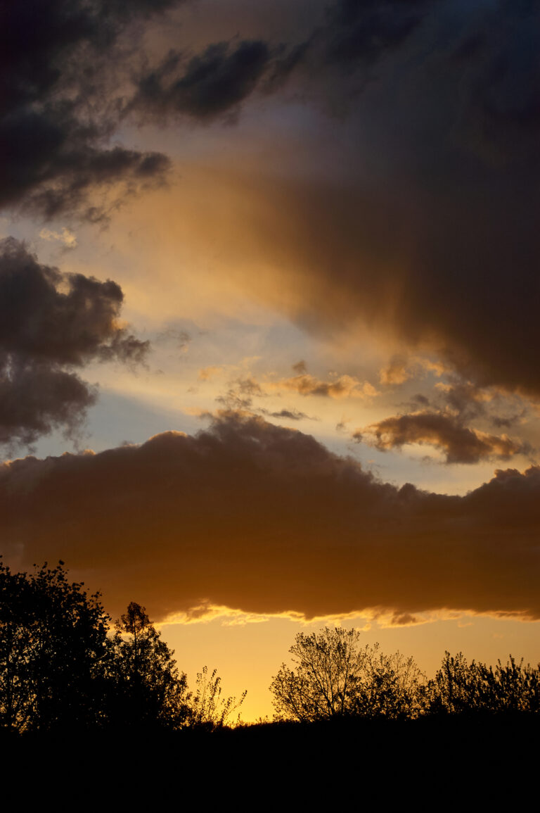 Golden Evening Sunset Royalty Free Photo