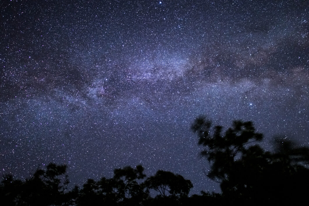 Tree Night Starry