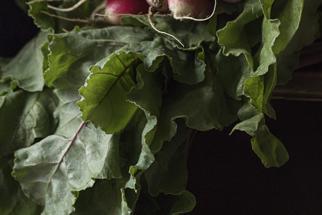 Fresh Garden Vegetables