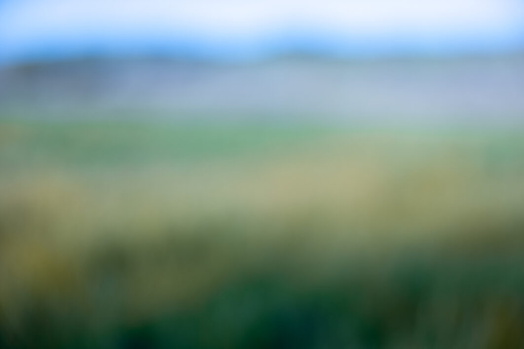 Defocused Nature Background