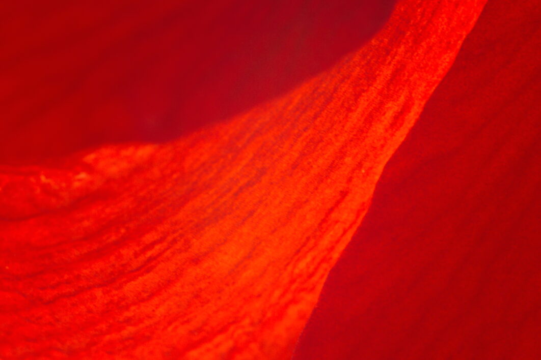 Red Abstract Background