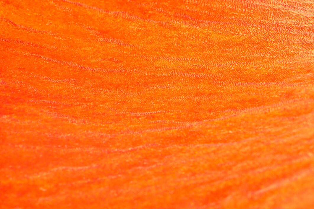 Abstract Orange Texture