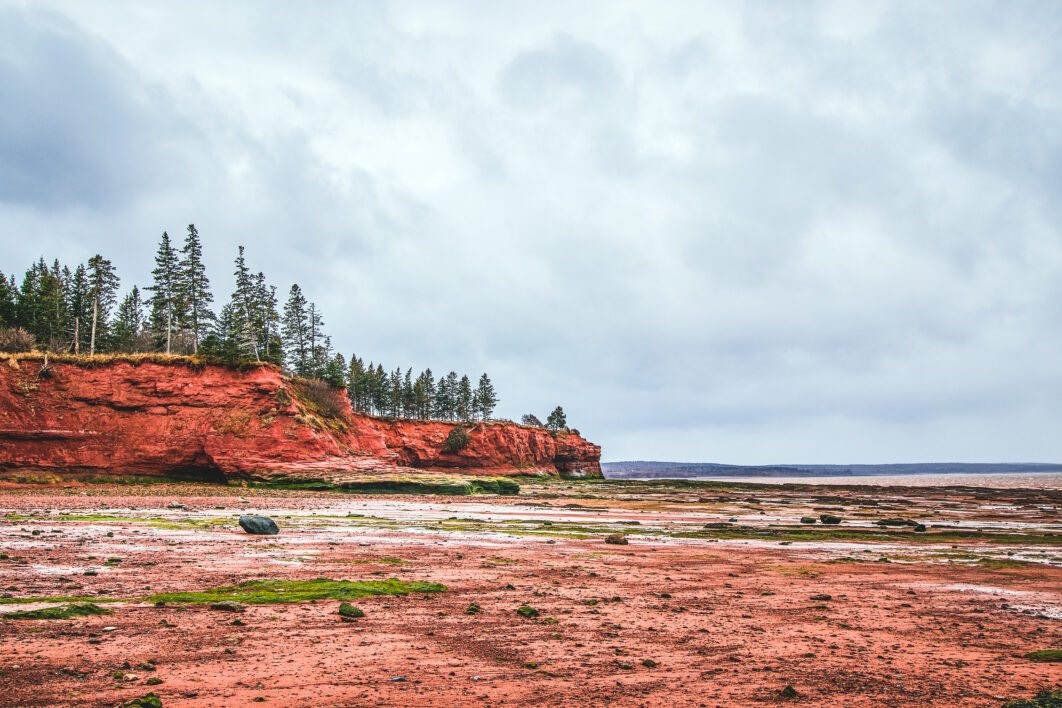 Coastal Landscape Ocean