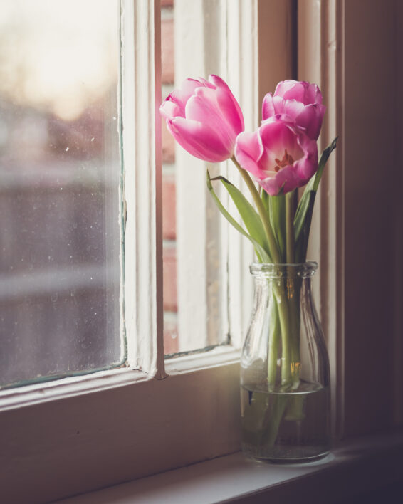 Vase Flowers Window