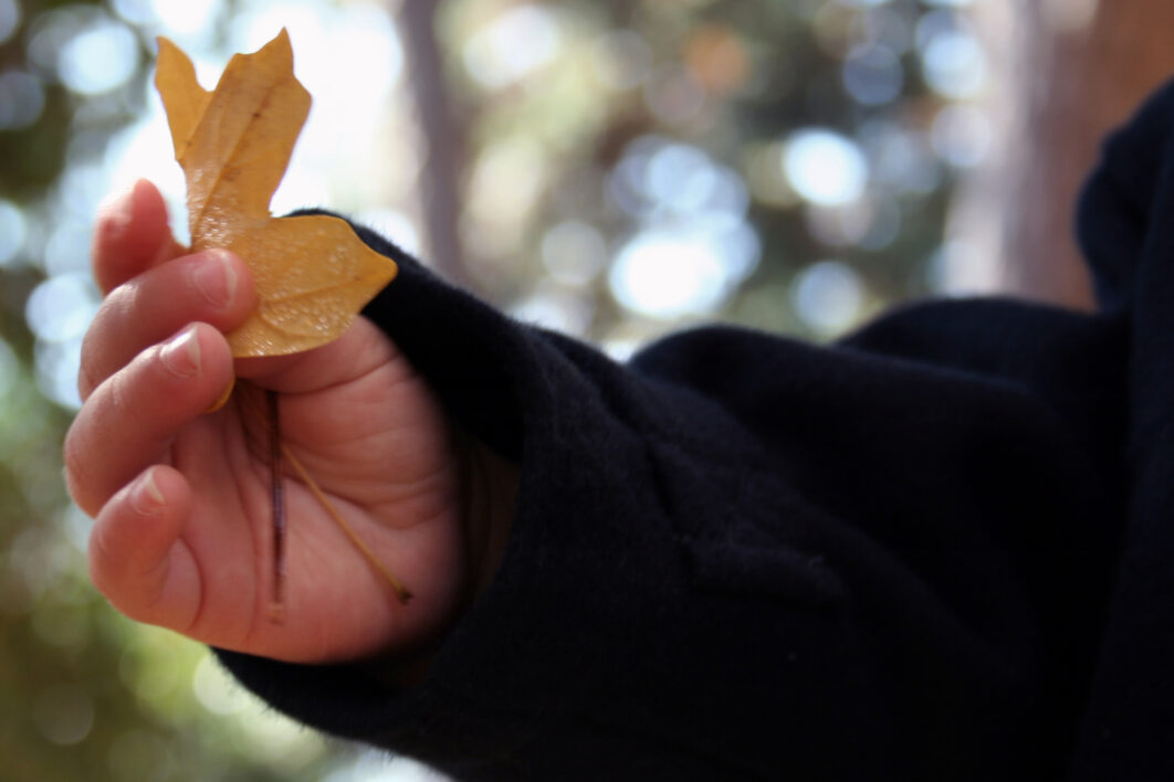 Nature Leaf Child