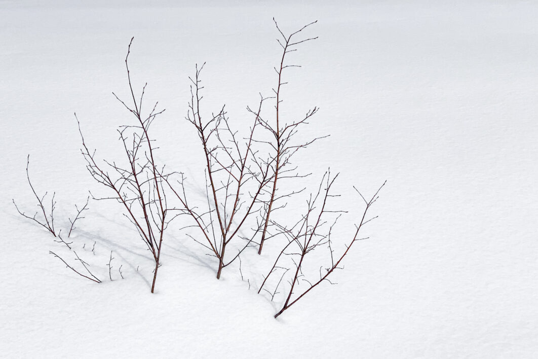 White Snowy Background