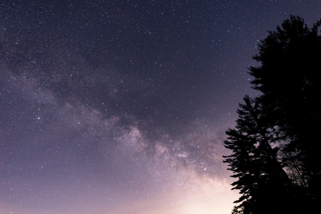 Night Tree Sky