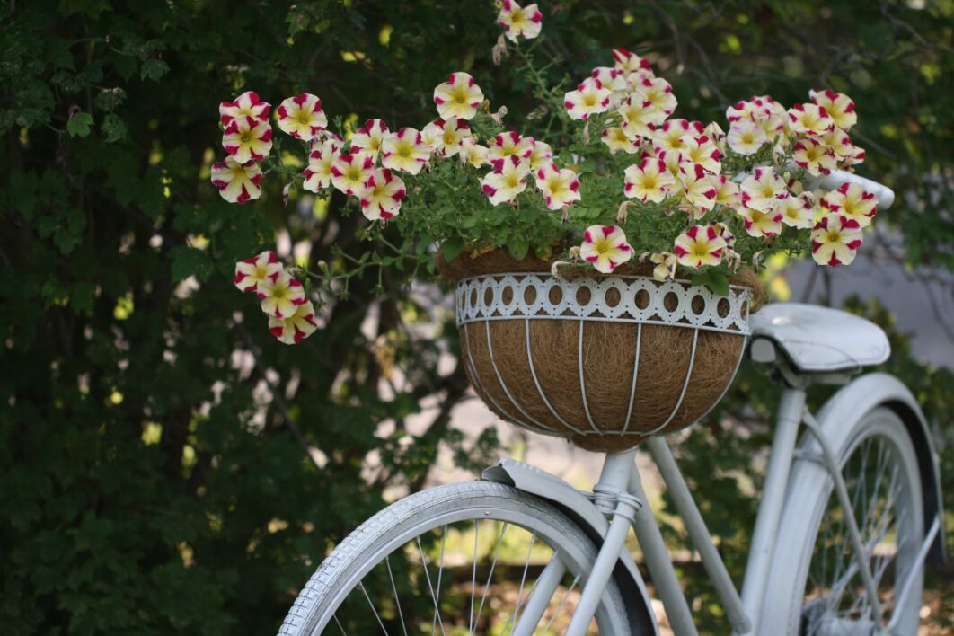 Retro Bicycle Flowers