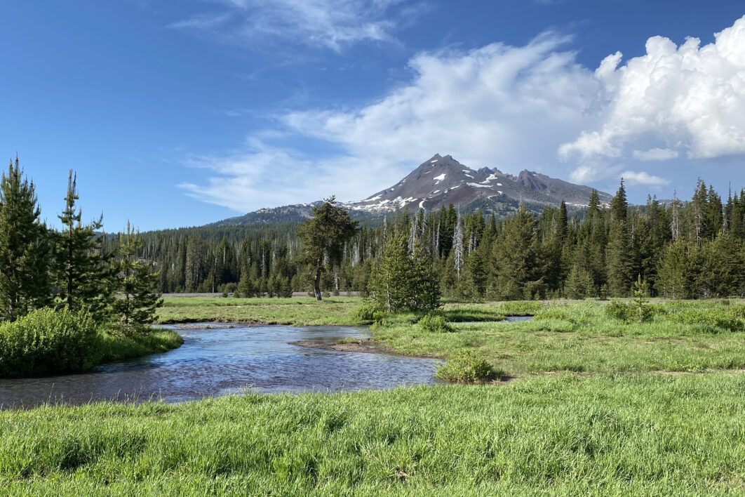 Mountain Landscape Forest