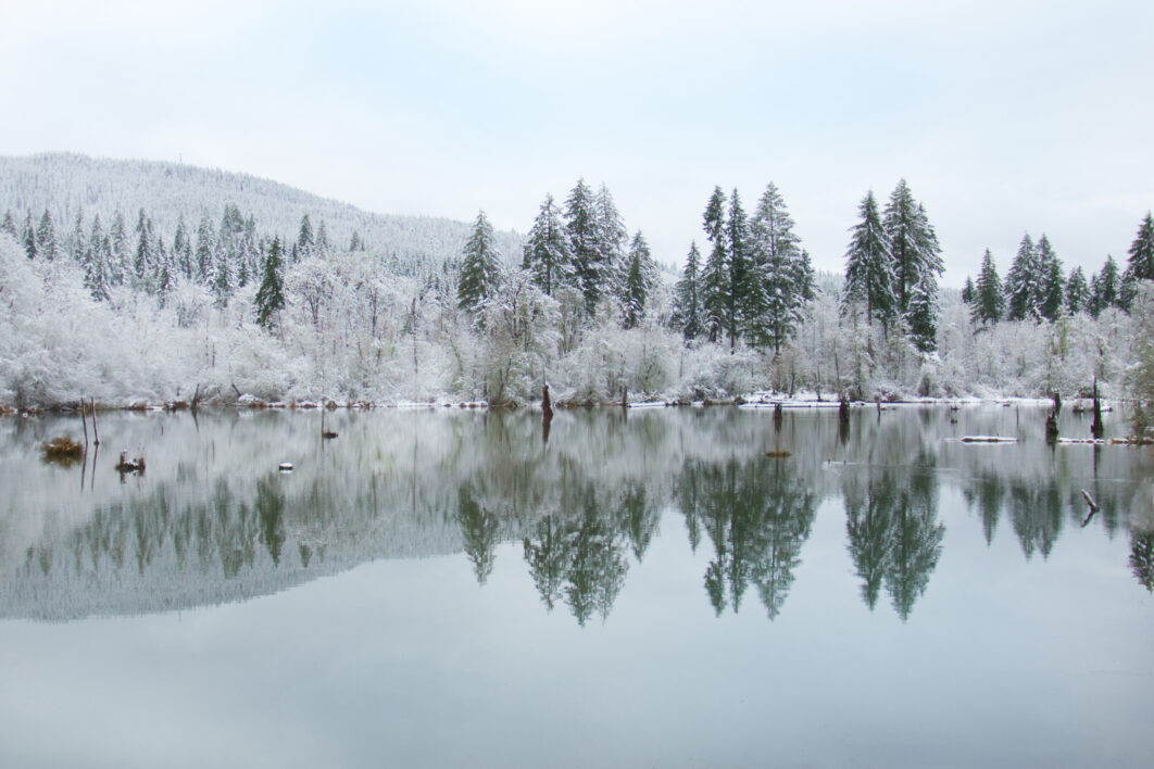 Winter Pond Reflection